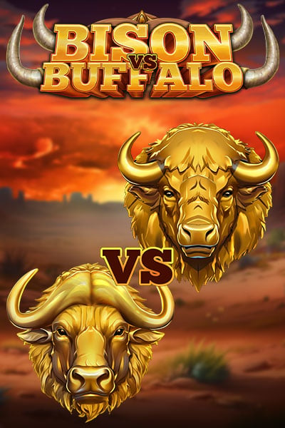 Bison vs Buffalo